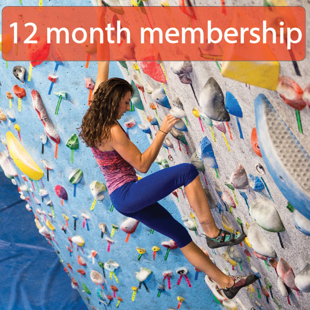 12 month membership (individual)