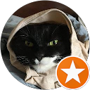 Caide Allen profile picture